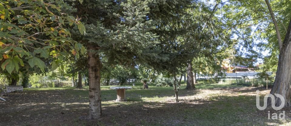 Quadrilocale di 123 m² a Agugliano (60020)