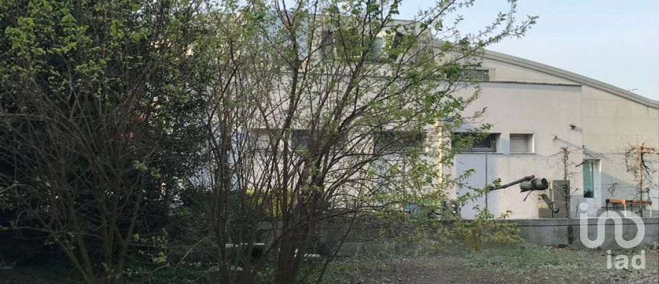 Capannone di 3.872 m² in Guidizzolo (46040)