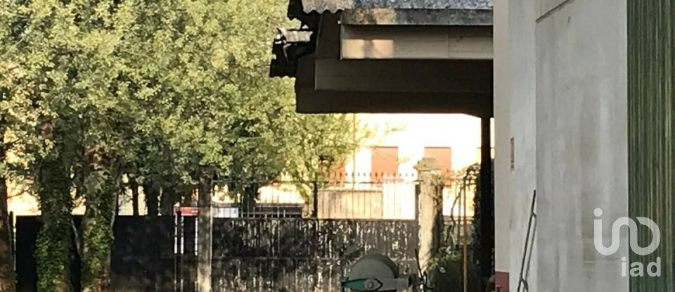 Capannone di 3.872 m² in Guidizzolo (46040)