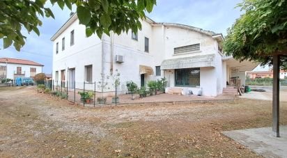 Casa indipendente / Villa 7 locali di 200 m² in Costa di Rovigo (45023)