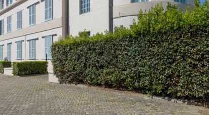 Four-room apartment of 85 m² in Pisa (56122)