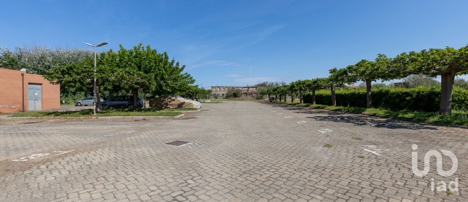 Four-room apartment of 85 m² in Pisa (56122)