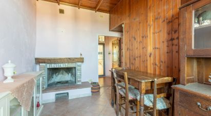 Bilocale di 35 m² a Peccioli (56037)