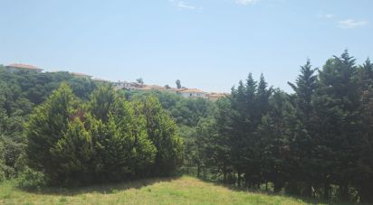 Villa Bifamiliare 11 locali di 700 m² in Marcellinara (88044)