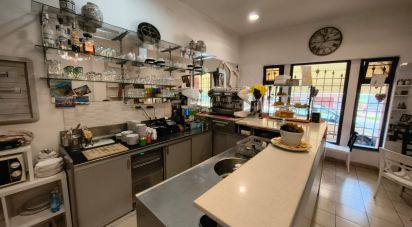 Attività locali di 40 m² in Borghetto Santo Spirito (17052)