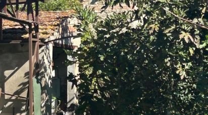 Casa indipendente 10 locali di 400 m² in Vicchio (50039)