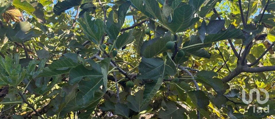 Townhouse 10 rooms of 400 m² in Vicchio (50039)