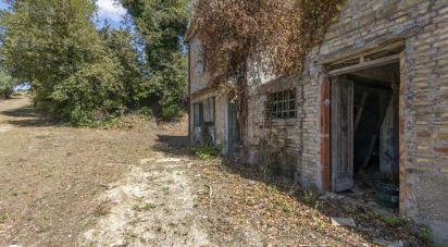 Rustico 6 locali di 200 m² in Filottrano (60024)