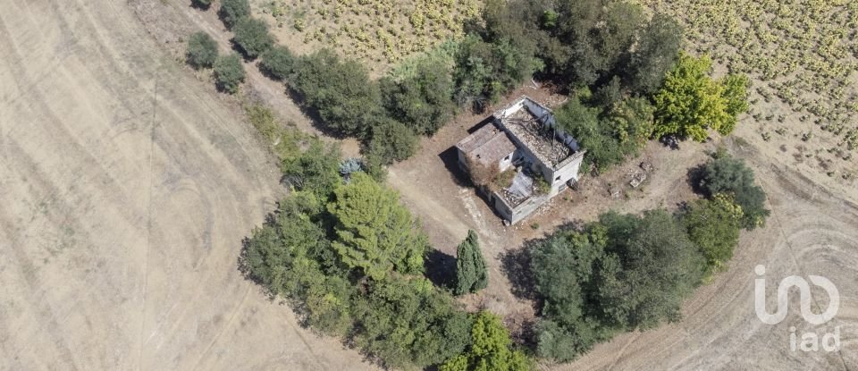 Country home 6 rooms of 200 m² in Filottrano (60024)