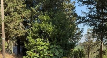 Townhouse 20 rooms of 1,180 m² in Bucine (52020)