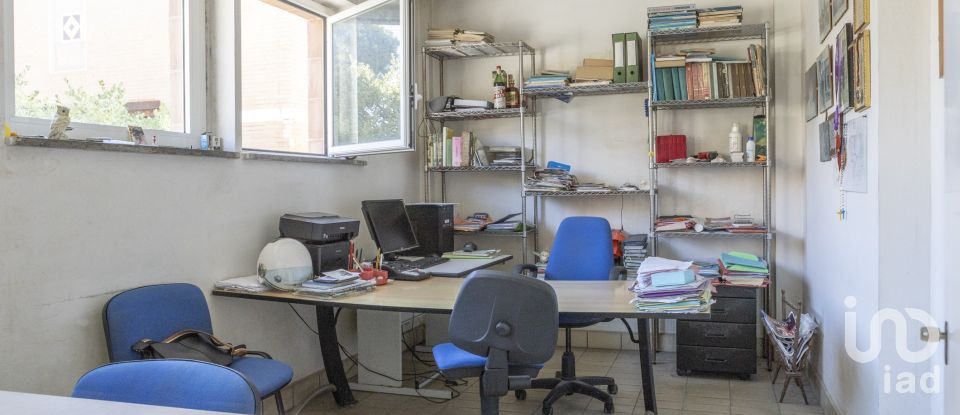 Negozio / locale commerciale di 503 m² in Recanati (62019)