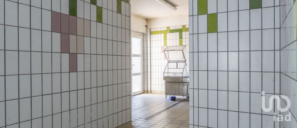 Negozio / locale commerciale di 503 m² in Recanati (62019)