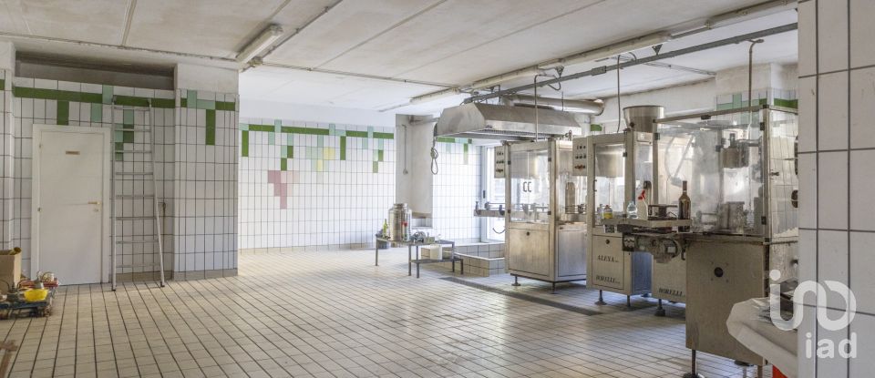 Negozio / locale commerciale di 503 m² in Recanati (62019)