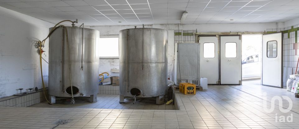 Negozio / locale commerciale di 503 m² in Recanati (62019)