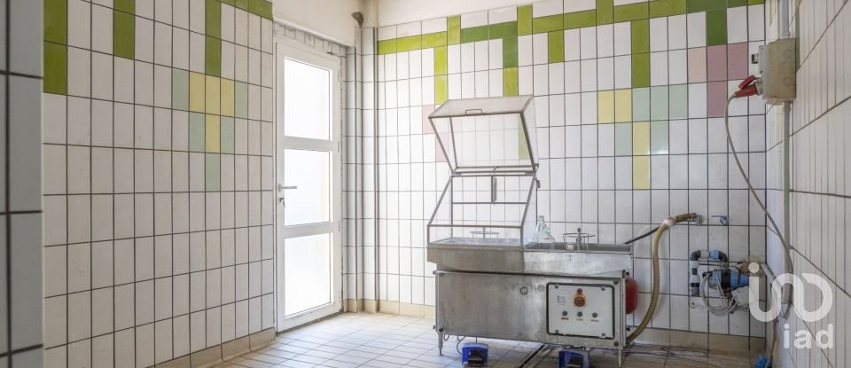 Negozio / locale commerciale di 503 m² in Recanati (62019)