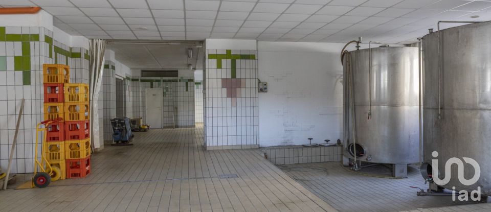 Negozio / locale commerciale di 503 m² in Recanati (62019)