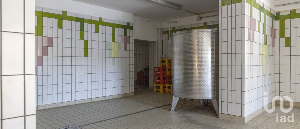 Negozio / locale commerciale di 503 m² in Recanati (62019)