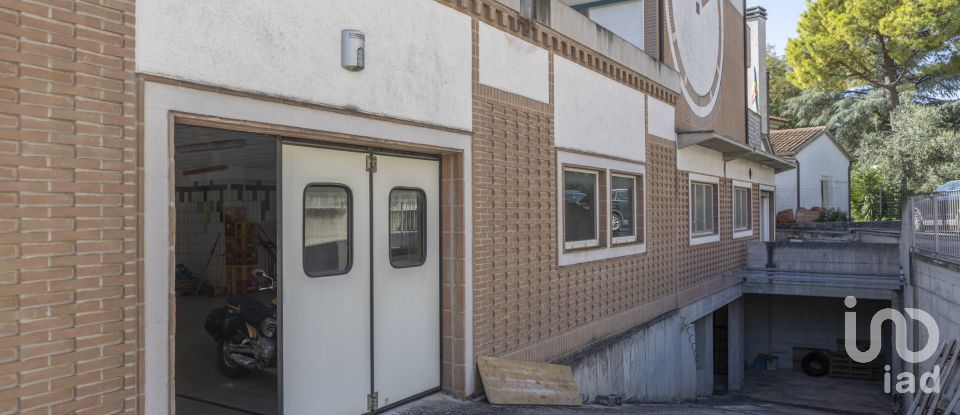 Negozio / locale commerciale di 503 m² in Recanati (62019)