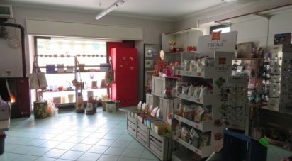 Negozio / locale commerciale di 113 m² in Villar Pellice (10060)