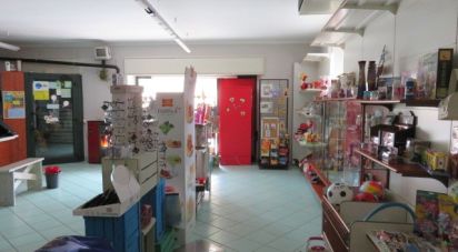 Negozio / locale commerciale di 113 m² in Villar Pellice (10060)