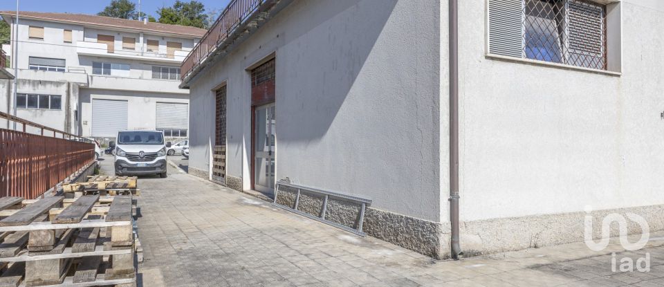 Shop / premises commercial of 230 m² in Ancona (60131)