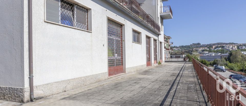Shop / premises commercial of 230 m² in Ancona (60131)