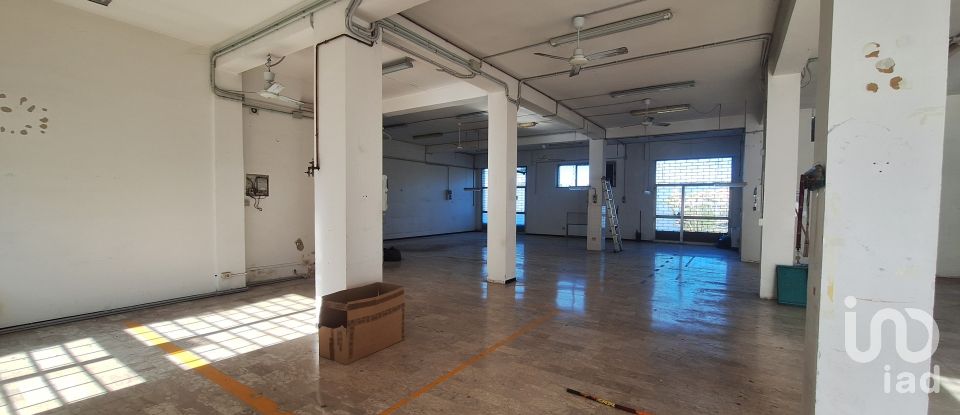 Shop / premises commercial of 230 m² in Ancona (60131)