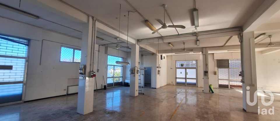 Shop / premises commercial of 230 m² in Ancona (60131)