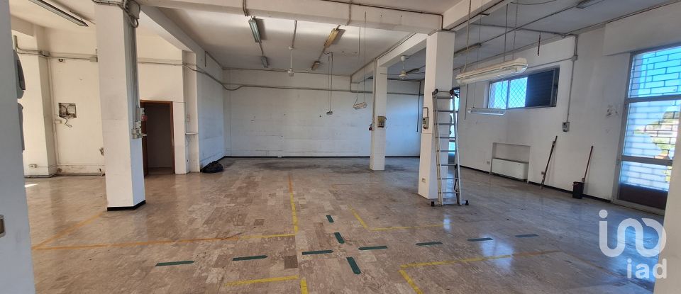 Shop / premises commercial of 230 m² in Ancona (60131)