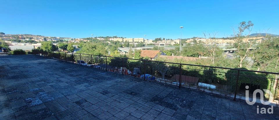 Shop / premises commercial of 230 m² in Ancona (60131)