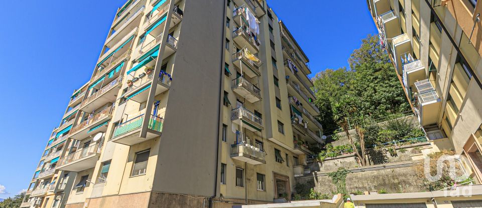 Monolocale di 60 m² a Genova (16151)