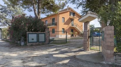 Appartamento 8 locali di 164 m² a Osimo (60027)