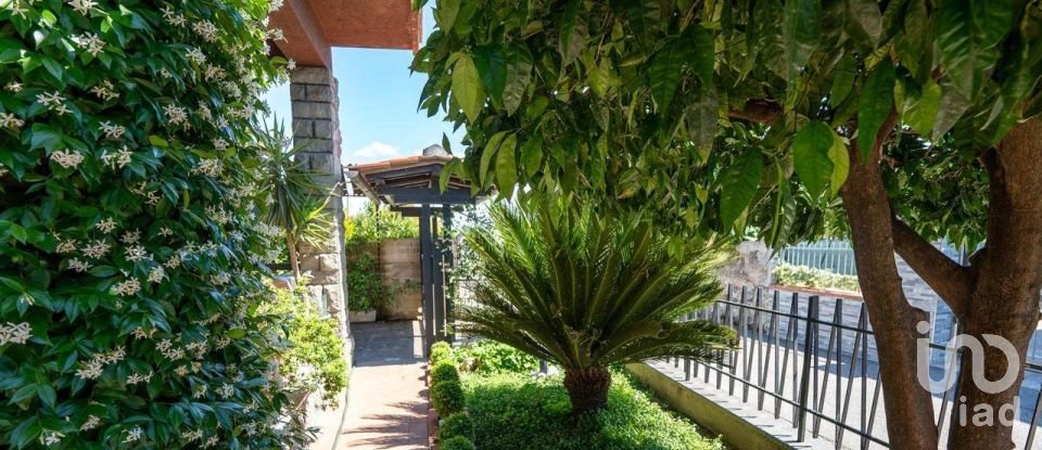 Casa indipendente / Villa 12 locali di 274 m² in Campi Bisenzio (50013)