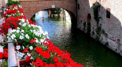 Quadrilocale di 160 m² a Mantova (46100)