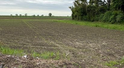 Land of 30,000 m² in Sant'Urbano (35040)