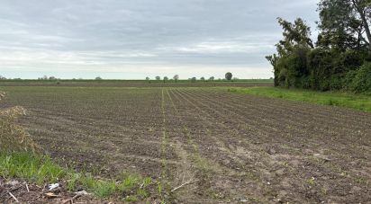 Land of 30,000 m² in Sant'Urbano (35040)