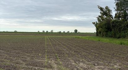 Land of 30,000 m² in Sant'Urbano (35040)