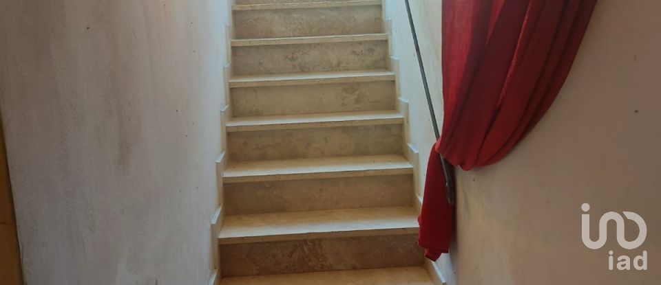 Shop / premises commercial of 24 m² in Firenze (50132)