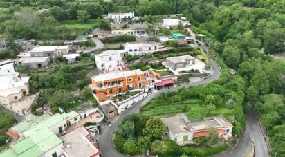 Casa indipendente / Villa 8 locali di 357 m² in Serrara Fontana (80081)