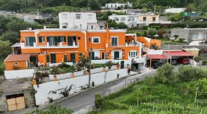 Casa indipendente / Villa 8 locali di 357 m² in Serrara Fontana (80081)