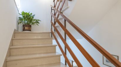 Casa indipendente / Villa 10 locali di 327 m² in Osimo (60027)