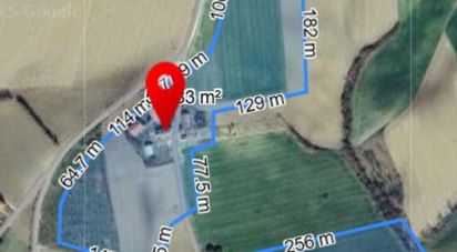 Terreno di 10.000 m² in Filottrano (60024)