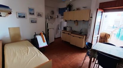 Bilocale di 31 m² a Scalea (87029)