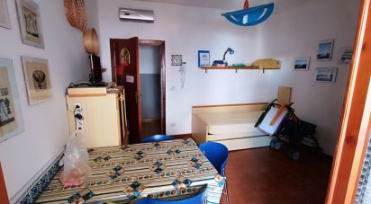 Bilocale di 31 m² a Scalea (87029)