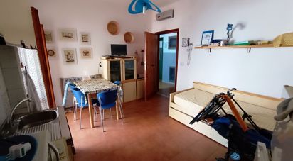 Bilocale di 31 m² a Scalea (87029)
