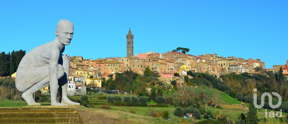 Bilocale di 55 m² a Peccioli (56037)