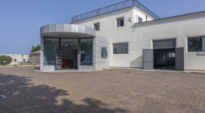 Negozio / locale commerciale di 1.150 m² in Porto Sant'Elpidio (63821)