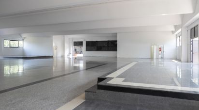 Negozio / locale commerciale di 1.150 m² in Porto Sant'Elpidio (63821)