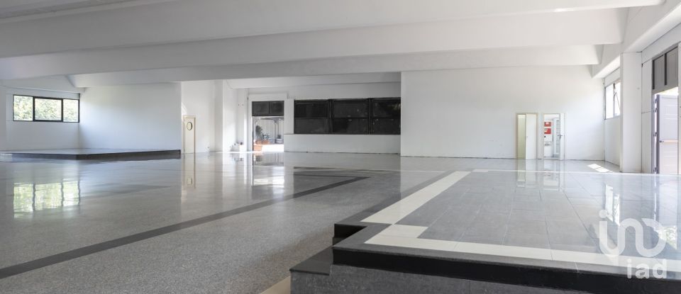 Negozio / locale commerciale di 1.150 m² in Porto Sant'Elpidio (63821)