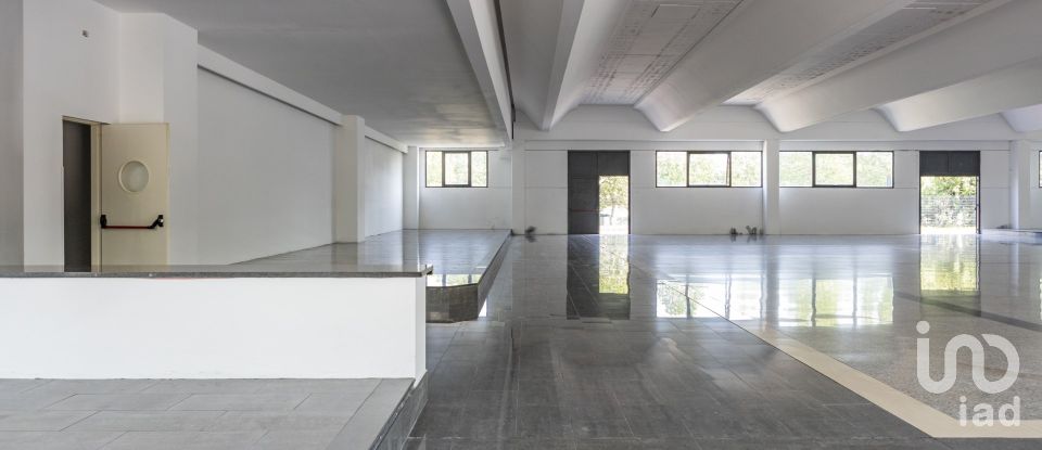 Negozio / locale commerciale di 1.150 m² in Porto Sant'Elpidio (63821)